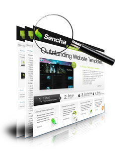 SEO-Competitor Analytic