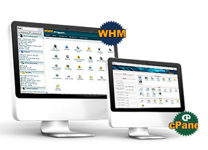 Web Hosting-Control Panel